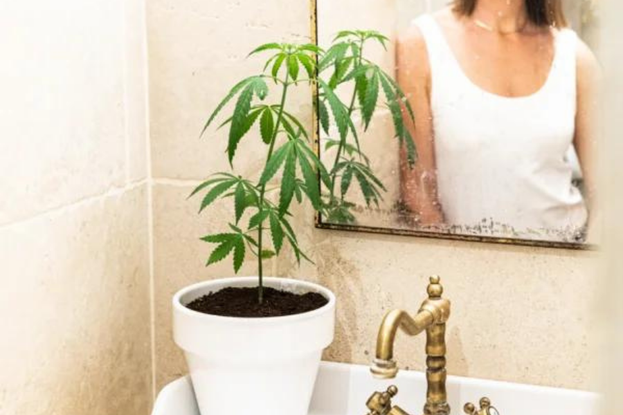 5 bienfaits et vertus du CBD pour la santé