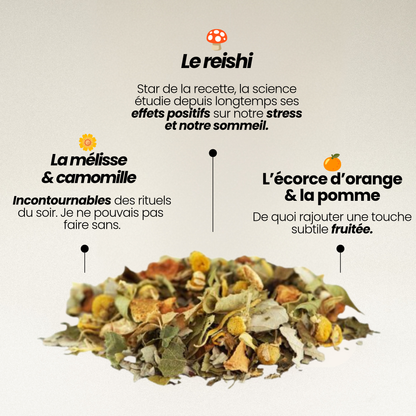 Infusion Sommeil Reishi