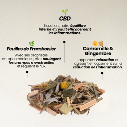 Infusion contre les douleurs menstruelles