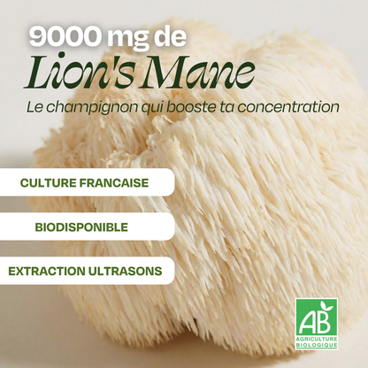 Matcha focus aux champignons