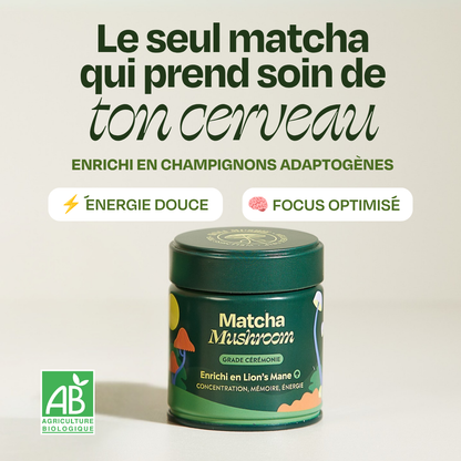 Matcha focus aux champignons