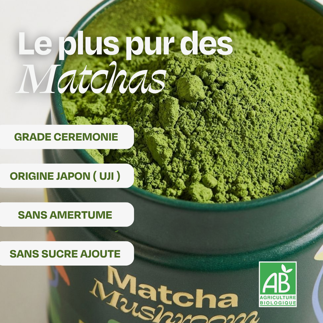 Matcha focus aux champignons