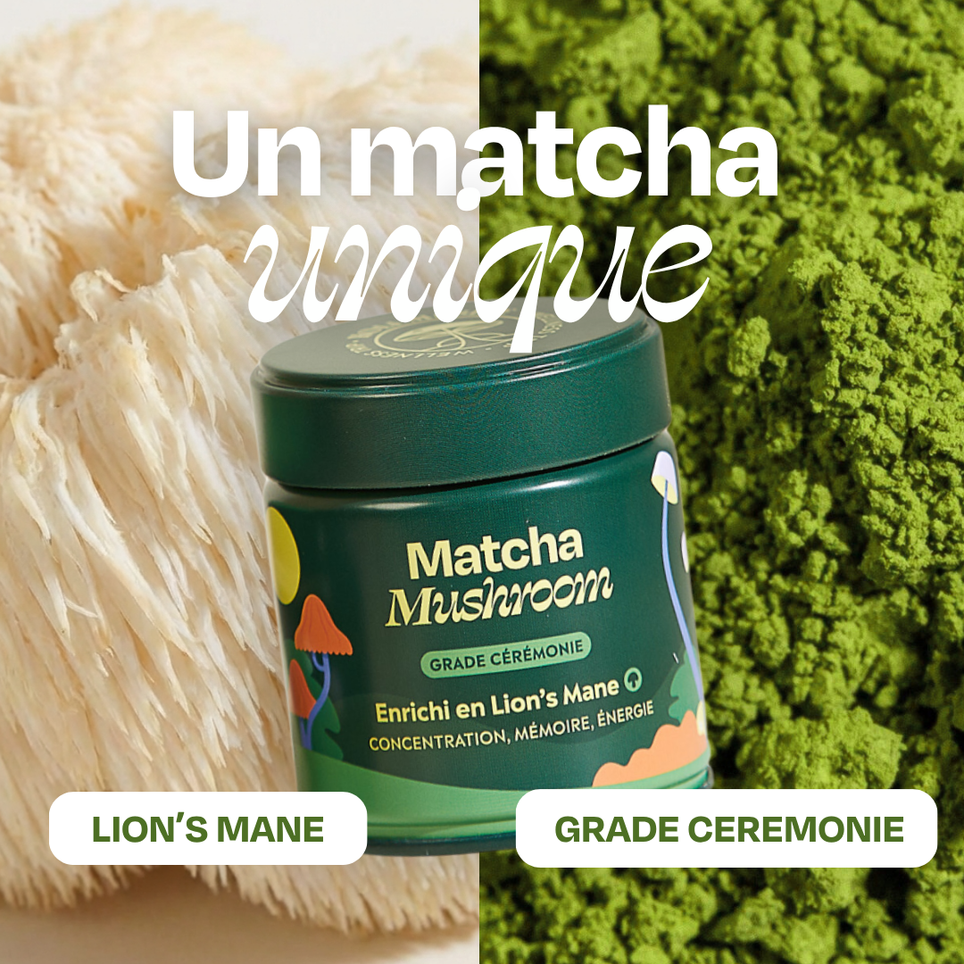 Matcha focus aux champignons