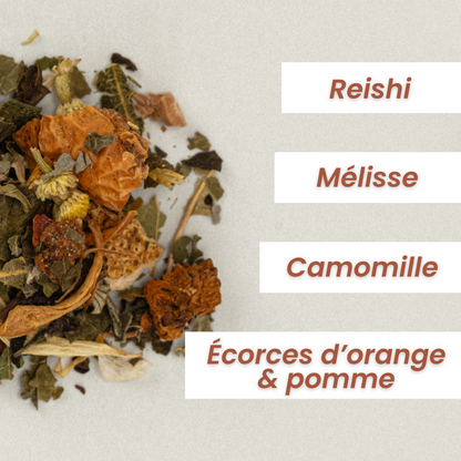 Infusion Sommeil Reishi